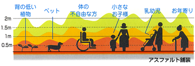 アスファルト舗装の影響