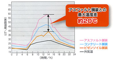 表面温度の比較