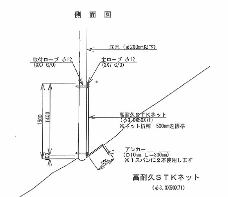 側面図